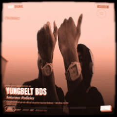 YungBelt BDS - Internet Politics